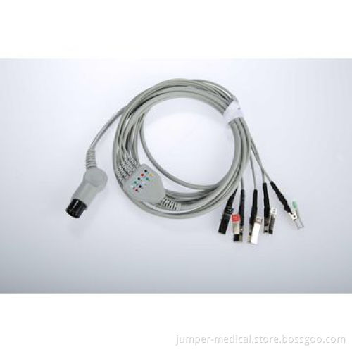 Portable Multiparameter Vet Use Patient Monitor Medical Equipment with CE Veterinary for Dog and Cat